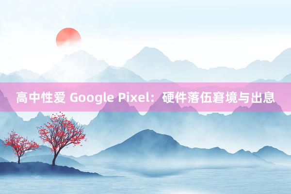 高中性爱 Google Pixel：硬件落伍窘境与出息