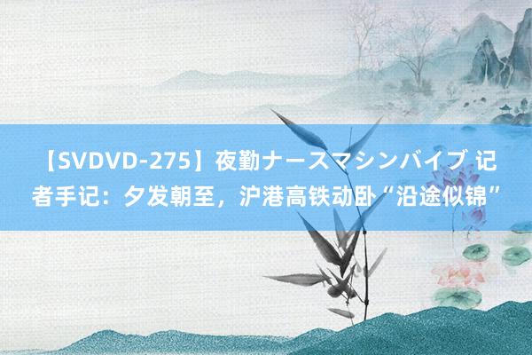 【SVDVD-275】夜勤ナースマシンバイブ 记者手记：夕发朝至，沪港高铁动卧“沿途似锦”