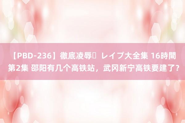 【PBD-236】徹底凌辱・レイプ大全集 16時間 第2集 邵阳有几个高铁站，武冈新宁高铁要建了？