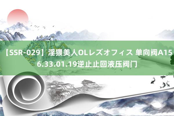 【SSR-029】淫猥美人OLレズオフィス 单向阀A156.33.01.19逆止止回液压阀门