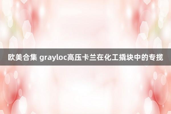 欧美合集 grayloc高压卡兰在化工撬块中的专揽