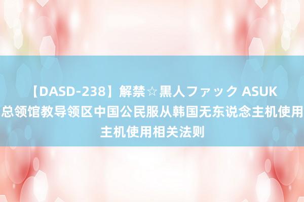 【DASD-238】解禁☆黒人ファック ASUKA 驻釜山总领馆教导领区中国公民服从韩国无东说念主机使用相关法则