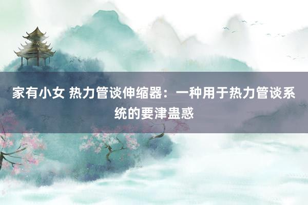 家有小女 热力管谈伸缩器：一种用于热力管谈系统的要津蛊惑