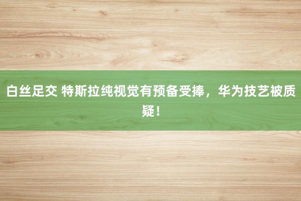 白丝足交 特斯拉纯视觉有预备受捧，华为技艺被质疑！