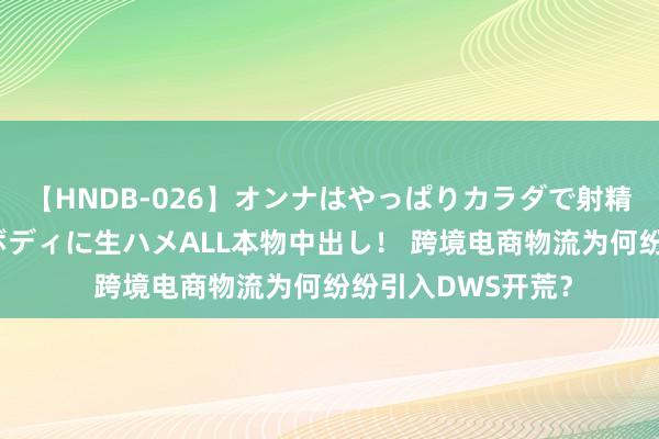 【HNDB-026】オンナはやっぱりカラダで射精する 厳選美巨乳ボディに生ハメALL本物中出し！ 跨境电商物流为何纷纷引入DWS开荒？