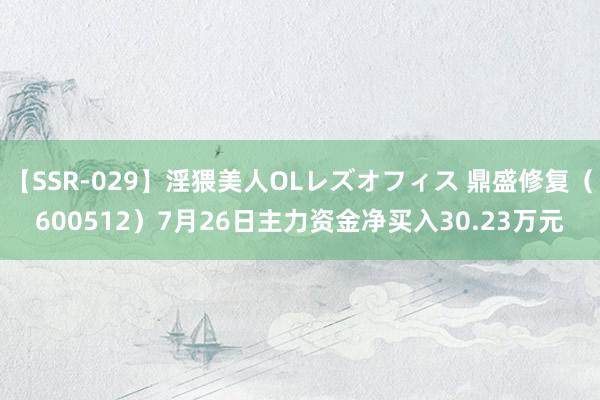 【SSR-029】淫猥美人OLレズオフィス 鼎盛修复（600512）7月26日主力资金净买入30.23万元