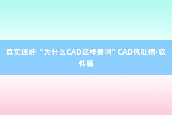 真实迷奸 “为什么CAD这样贵啊”CAD热吐槽·软件篇