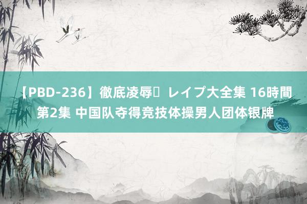 【PBD-236】徹底凌辱・レイプ大全集 16時間 第2集 中国队夺得竞技体操男人团体银牌