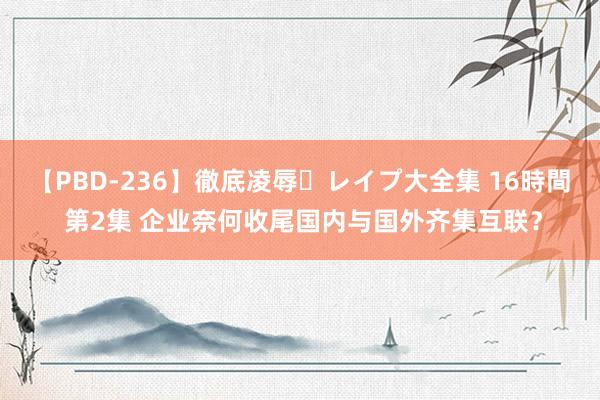 【PBD-236】徹底凌辱・レイプ大全集 16時間 第2集 企业奈何收尾国内与国外齐集互联？