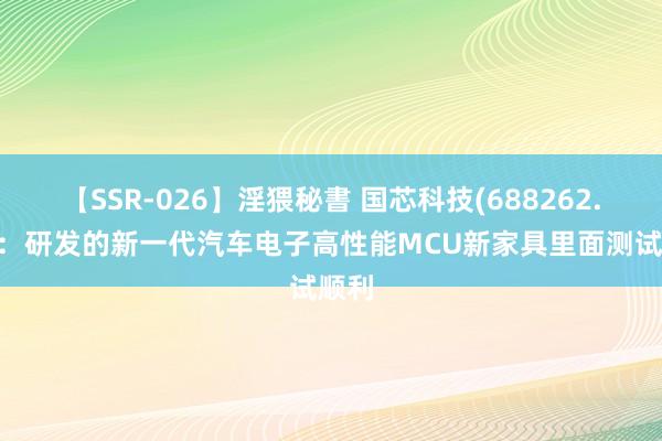 【SSR-026】淫猥秘書 国芯科技(688262.SH)：研发的新一代汽车电子高性能MCU新家具里面测试顺利