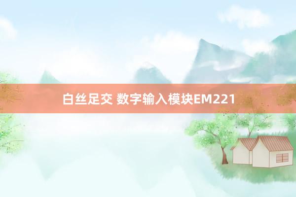 白丝足交 数字输入模块EM221