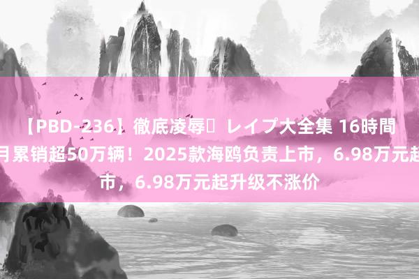 【PBD-236】徹底凌辱・レイプ大全集 16時間 第2集 16个月累销超50万辆！2025款海鸥负责上市，6.98万元起升级不涨价