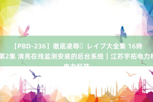 【PBD-236】徹底凌辱・レイプ大全集 16時間 第2集 清亮在线监测安装的后台系统｜江苏宇拓电力科技