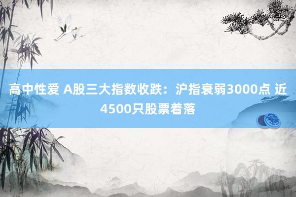 高中性爱 A股三大指数收跌：沪指衰弱3000点 近4500只股票着落