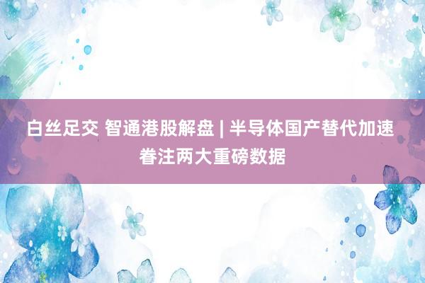 白丝足交 智通港股解盘 | 半导体国产替代加速 眷注两大重磅数据