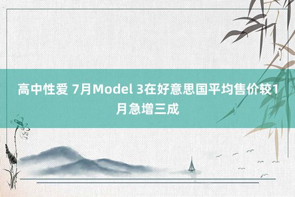 高中性爱 7月Model 3在好意思国平均售价较1月急增三成