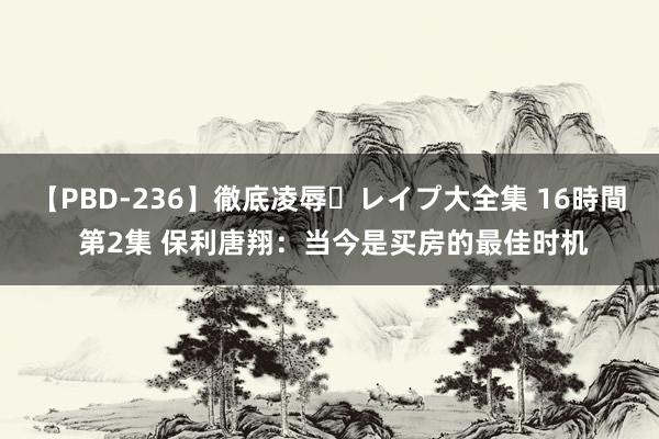 【PBD-236】徹底凌辱・レイプ大全集 16時間 第2集 保利唐翔：当今是买房的最佳时机