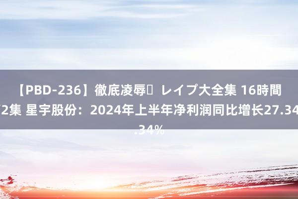 【PBD-236】徹底凌辱・レイプ大全集 16時間 第2集 星宇股份：2024年上半年净利润同比增长27.34%