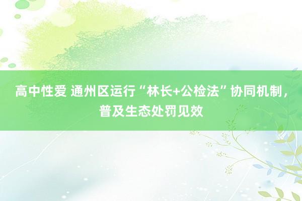 高中性爱 通州区运行“林长+公检法”协同机制，普及生态处罚见效