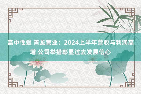 高中性爱 青龙管业：2024上半年营收与利润高增 公司举措彰显过去发展信心