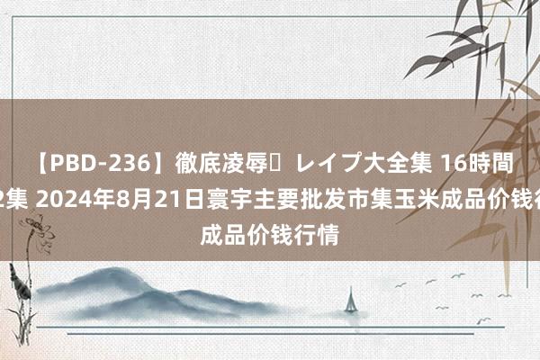 【PBD-236】徹底凌辱・レイプ大全集 16時間 第2集 2024年8月21日寰宇主要批发市集玉米成品价钱行情