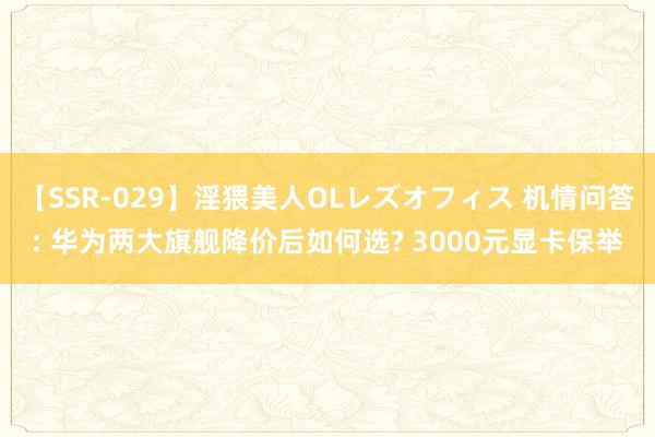 【SSR-029】淫猥美人OLレズオフィス 机情问答: 华为两大旗舰降价后如何选? 3000元显卡保举