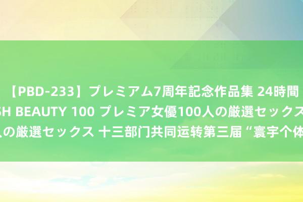 【PBD-233】プレミアム7周年記念作品集 24時間 PREMIUM STYLISH BEAUTY 100 プレミア女優100人の厳選セックス 十三部门共同运转第三届“寰宇个体工商户做事月”举止