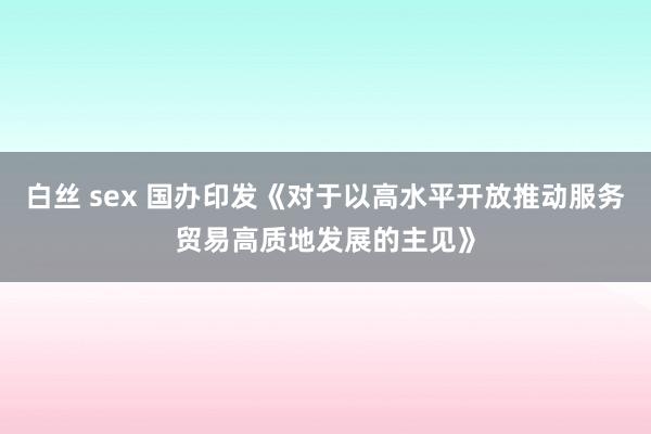 白丝 sex 国办印发《对于以高水平开放推动服务贸易高质地发展的主见》