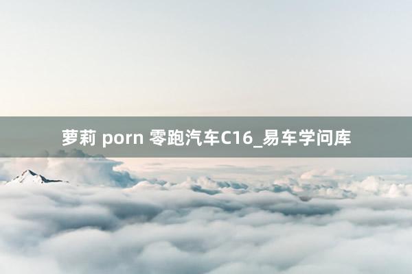 萝莉 porn 零跑汽车C16_易车学问库