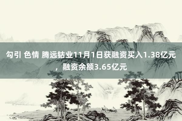 勾引 色情 腾远钴业11月1日获融资买入1.38亿元，融资余额3.65亿元