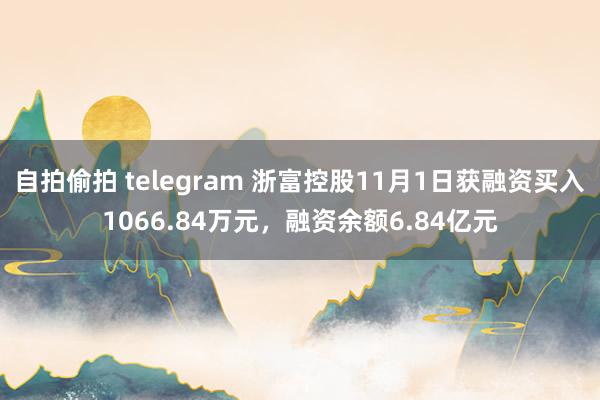 自拍偷拍 telegram 浙富控股11月1日获融资买入1066.84万元，融资余额6.84亿元