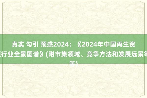 真实 勾引 预感2024：《2024年中国再生资源行业全景图谱》(附市集领域、竞争方法和发展远景等)