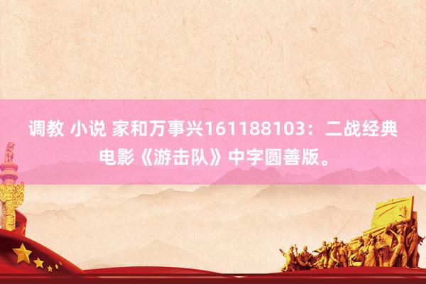 调教 小说 家和万事兴161188103：二战经典电影《游击队》中字圆善版。