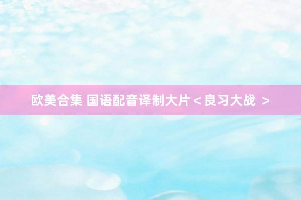 欧美合集 国语配音译制大片＜良习大战 ＞